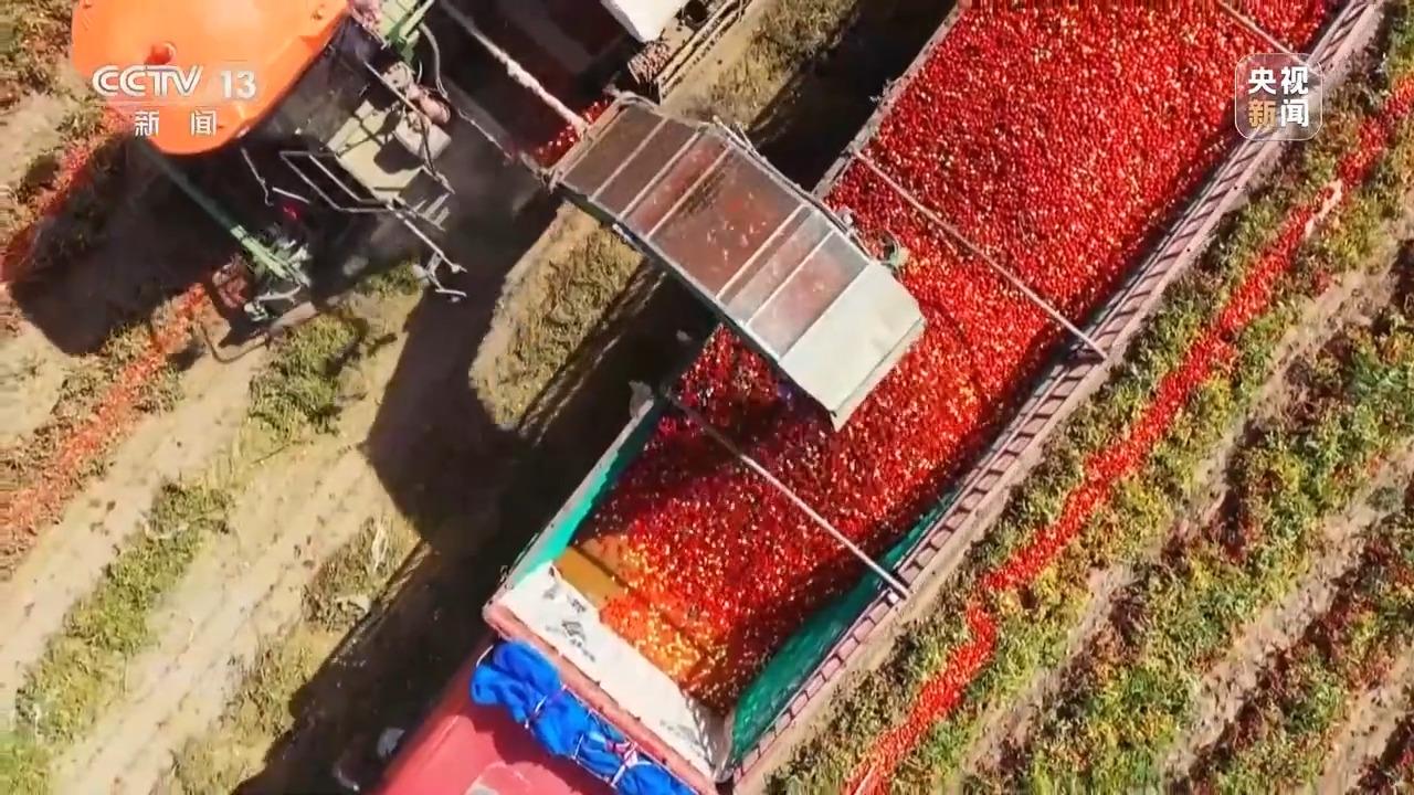深耕科技沃土 培植智慧農(nóng)業(yè) 有機稻谷種植研發(fā)之路